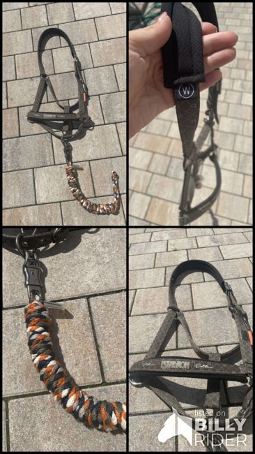 Eskadron Halfter, Eskadron , Karoline Walter, Halters, St. Pölten, Image 5
