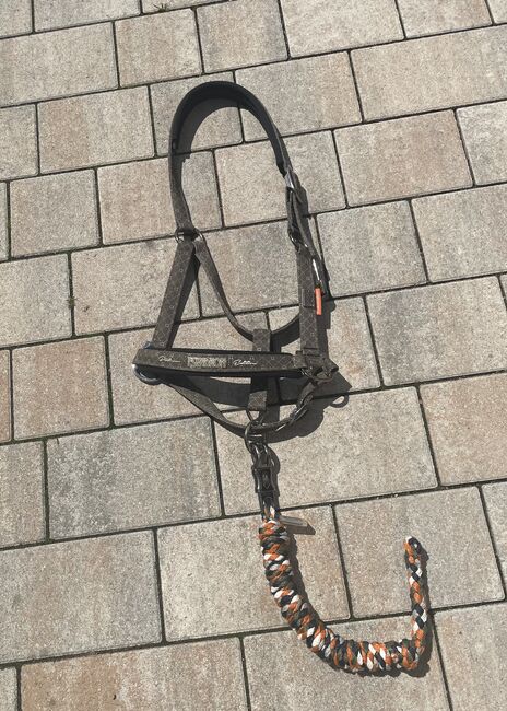 Eskadron Halfter, Eskadron , Karoline Walter, Halters, St. Pölten