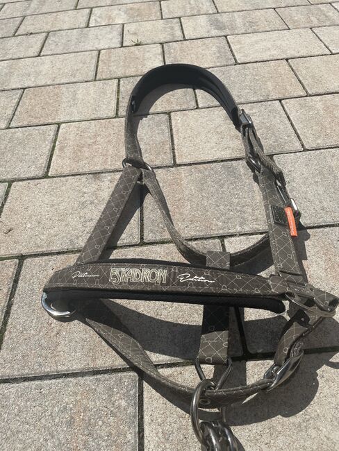 Eskadron Halfter, Eskadron , Karoline Walter, Halters, St. Pölten, Image 2