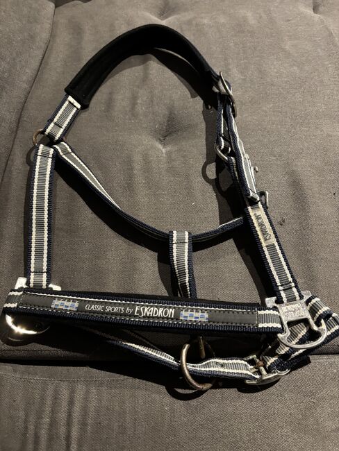 Eskadron Halfter, Eskadron, Denise, Halters, Nattenheim