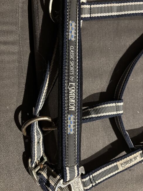 Eskadron Halfter, Eskadron, Denise, Halters, Nattenheim, Image 2