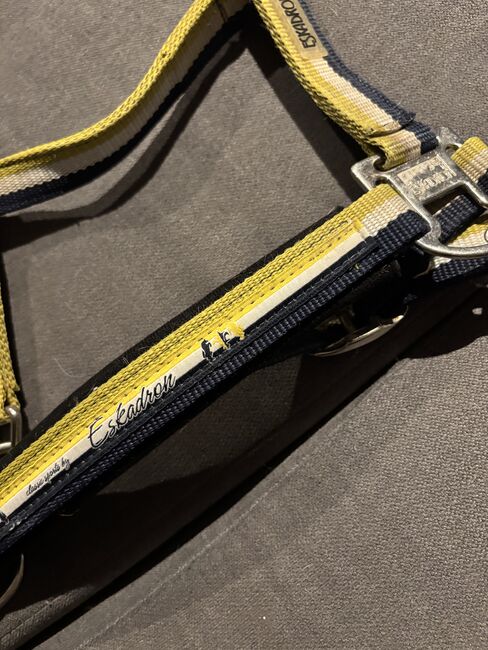 Eskadron Halfter Lime, Eskadron Lime, Denise, Halters, Nattenheim, Image 2