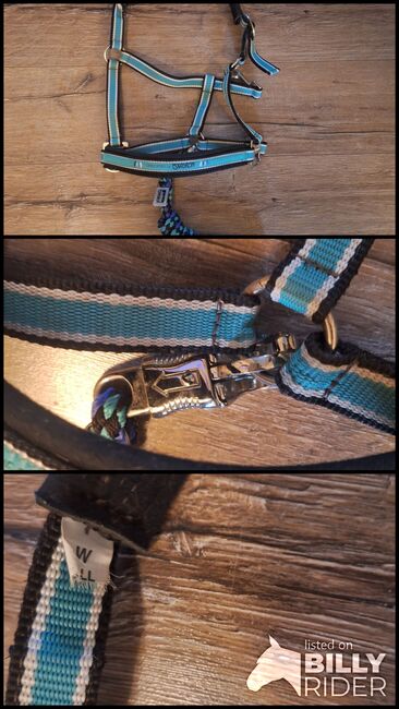 Eskadron Halfter mit Führstrick Mint, Eskadron , ADN, Halters, Duisburg, Image 4