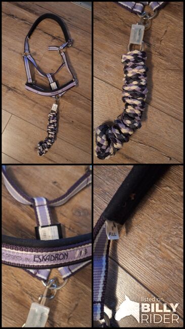 Eskadron Halfter mit Führstrick WB Violett, Eskadron , ADN, Halters, Duisburg, Image 6
