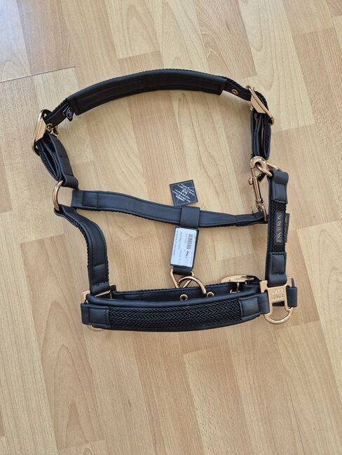 Eskadron Halfter P2 Neu Platinum Doublepin Plait schwarz, Eskadron  Platinum Doublepin Plait, HF, Halters, Freital