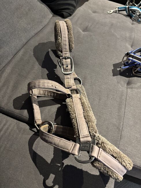 Eskadron Halfter Taupe, Eskadron Taupe, Denise, Halters, Nattenheim, Image 4