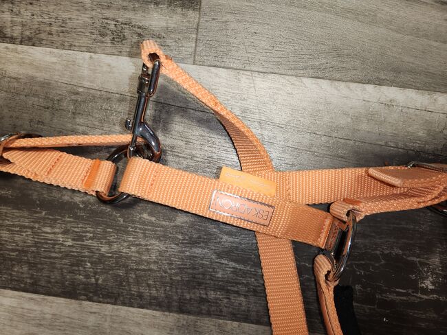 Eskadron Halfter +Eskadron Strick, Eskadron , Lilly , Halters, Friedeburg , Image 2