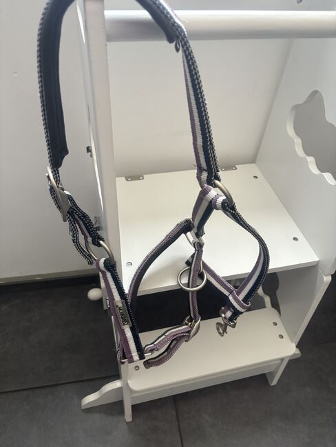 Eskadron Halfter Cob, Eskadron, Manuela Baur , Halters, Herdecke , Image 2