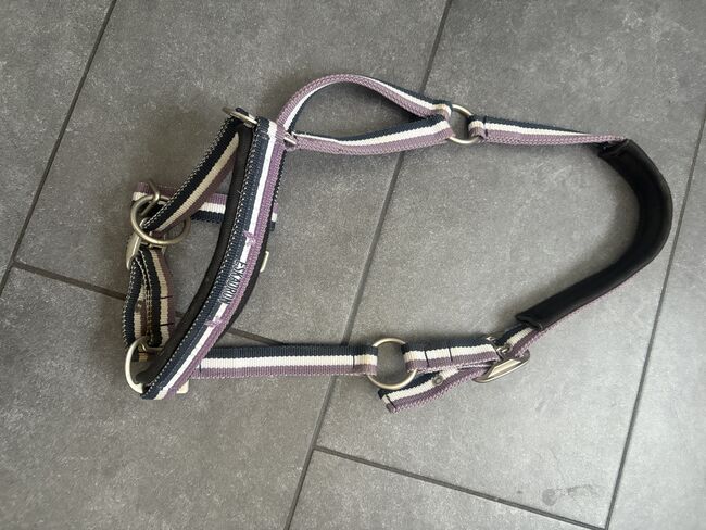 Eskadron Halfter Cob, Eskadron, Manuela Baur , Halters, Herdecke , Image 3