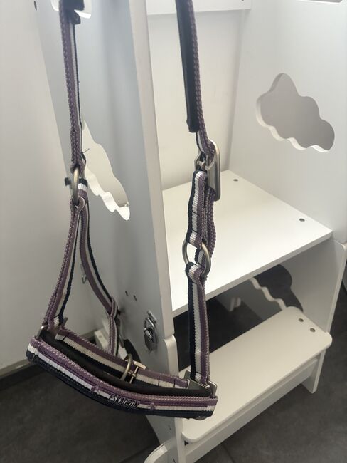 Eskadron Halfter Cob, Eskadron, Manuela Baur , Halters, Herdecke 