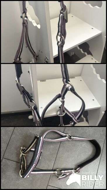 Eskadron Halfter Cob, Eskadron, Manuela Baur , Halters, Herdecke , Image 4