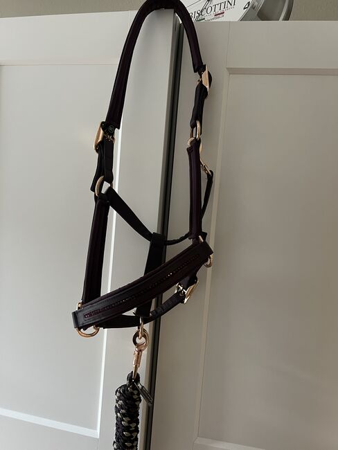 Eskadron Halfter aus der Heritage Kollektion in Deepberry, Eskadron DoublePin, Julie, Halters, Saarlouis 