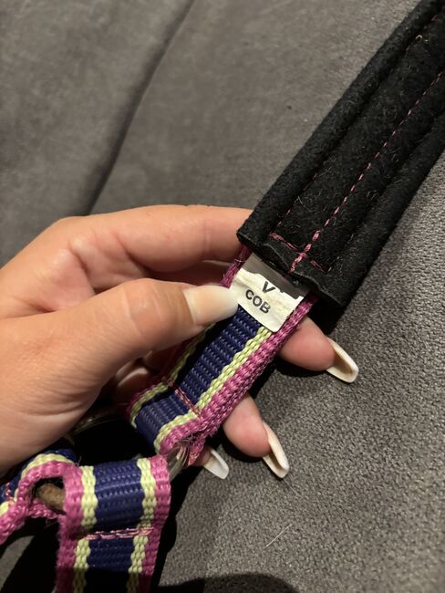 Eskadron Halfter, Eskadron  Fuchsia-Lime Limited Edition , Denise, Halters, Nattenheim, Image 3