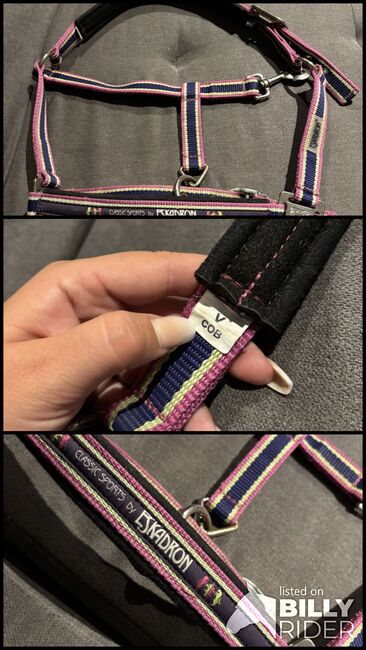 Eskadron Halfter, Eskadron  Fuchsia-Lime Limited Edition , Denise, Halters, Nattenheim, Image 4