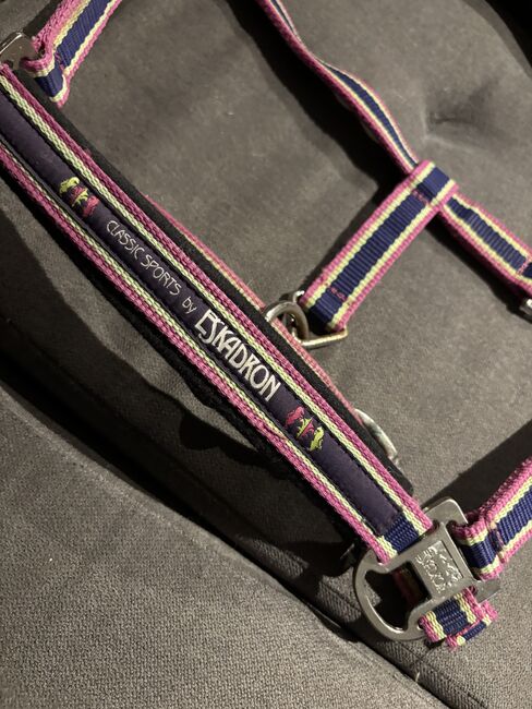 Eskadron Halfter, Eskadron  Fuchsia-Lime Limited Edition , Denise, Kantary, Nattenheim, Image 2