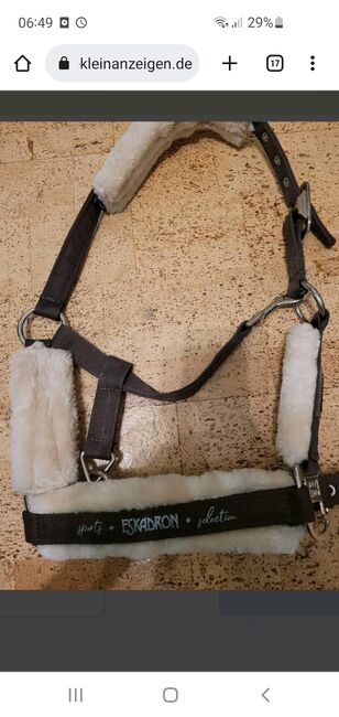Eskadron Halfter, Johanna, Halters, Taucha, Image 3