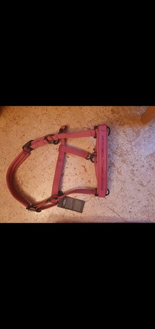 Eskadron Halfter, Johanna, Halters, Taucha, Image 4