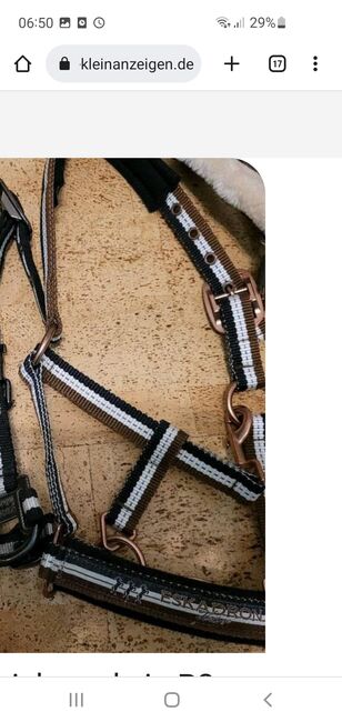 Eskadron Halfter, Johanna, Halters, Taucha, Image 2
