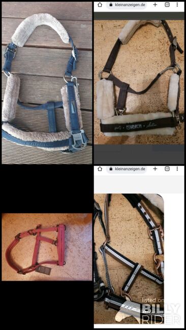 Eskadron Halfter, Johanna, Halters, Taucha, Image 5
