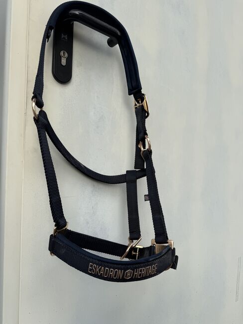 Eskadron Halfter, Eskadron, Shayenne, Halters, Tübingen, Image 2