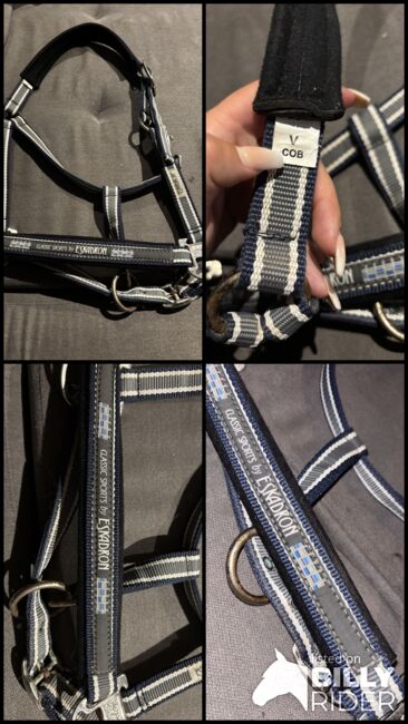 Eskadron Halfter, Eskadron, Denise, Halters, Nattenheim, Image 5