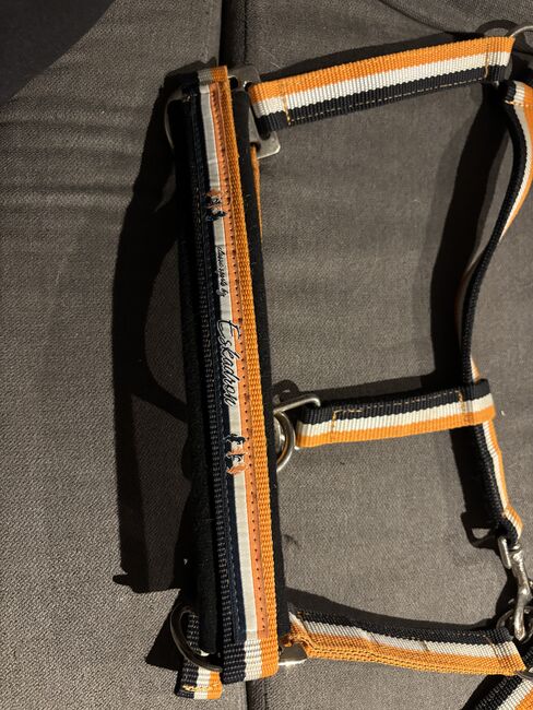 Eskadron Halfter, Eskadron, Denise, Halters, Nattenheim, Image 2