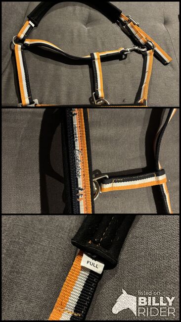 Eskadron Halfter, Eskadron, Denise, Halters, Nattenheim, Image 4