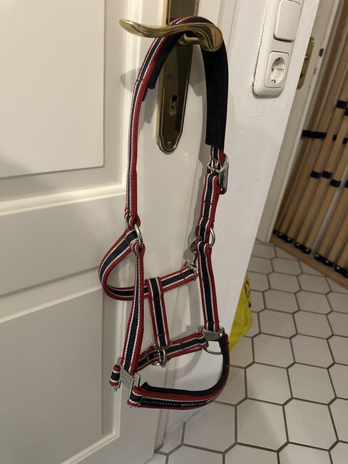 Eskadron Halfter, Eskadron, Anne, Halters, OBerursel
