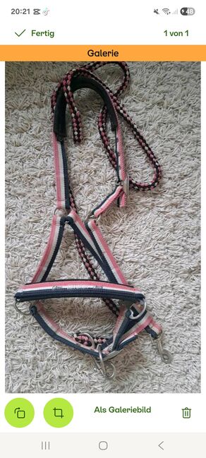 Eskadron Halfter, Eskadron , Sarah, Halters, Seester