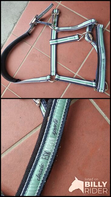 Eskadron Halfter, Eskadron, Franzi, Halters, Senftenberg, Image 3