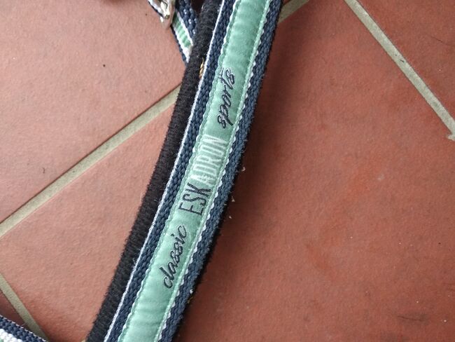 Eskadron Halfter, Eskadron, Franzi, Halters, Senftenberg, Image 2