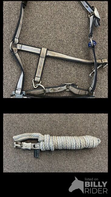 Eskadron Halfter, Eskadron , Franziska Röttger , Halters, Wuppertal , Image 3