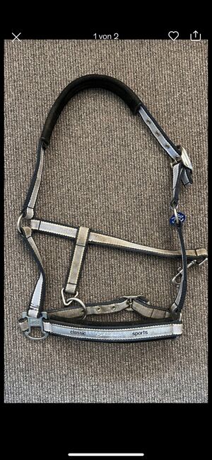 Eskadron Halfter, Eskadron , Franziska Röttger , Halters, Wuppertal 