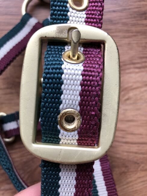 Eskadron Halfter Heritage Racinggreen P1 Set, Eskadron  P1 Halfter-Set HW 2016 (racinggreen/merlot/pearl), Corinna, Halters, Waltrop, Image 11