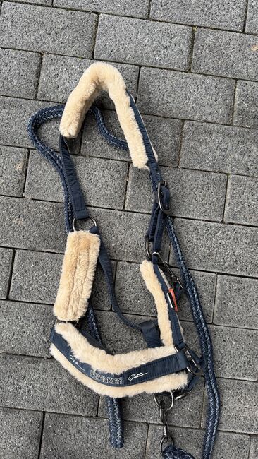 Eskadron Halfter in WB, Eskadron, Victoria , Halters, München