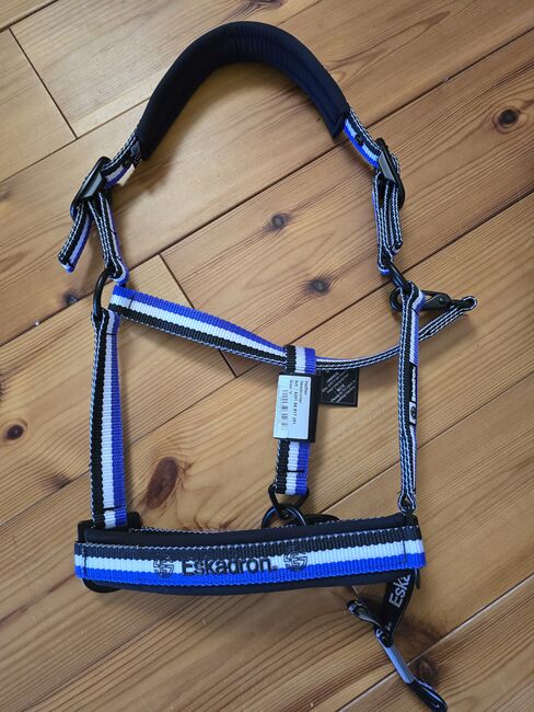 Eskadron Halfter purple Dynamic Gr. Cob, Dynamic, Pferdi, Halters, Ponitz