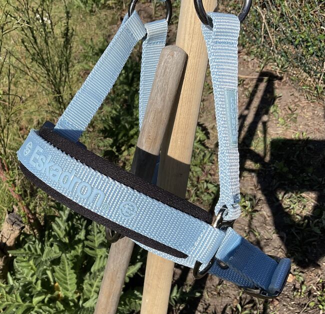 Eskadron Halfter himmelblau Größe Pony, Eskadron Pony Halfter , Carola Jacobs-Schütte, Pozostałe, Velpke , Image 4