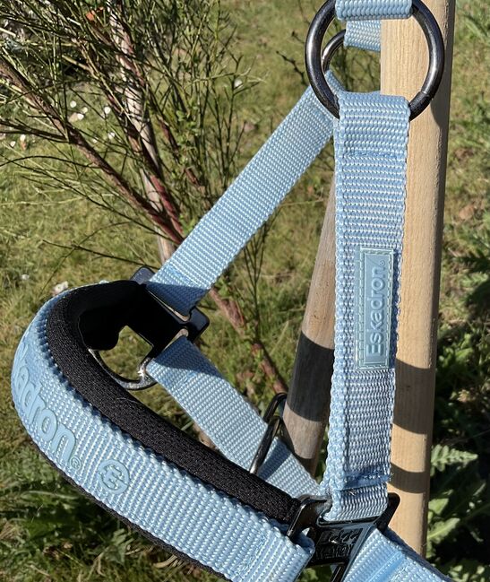 Eskadron Halfter himmelblau Größe Pony, Eskadron Pony Halfter , Carola Jacobs-Schütte, Other, Velpke , Image 6