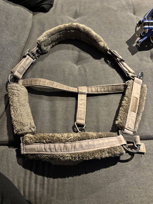 Eskadron Halfter Taupe, Eskadron Taupe, Denise, Halters, Nattenheim