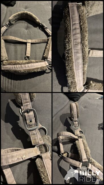 Eskadron Halfter Taupe, Eskadron Taupe, Denise, Halters, Nattenheim, Image 6