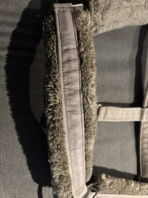 Eskadron Halfter Taupe, Eskadron Taupe, Denise, Kantary, Nattenheim, Image 2