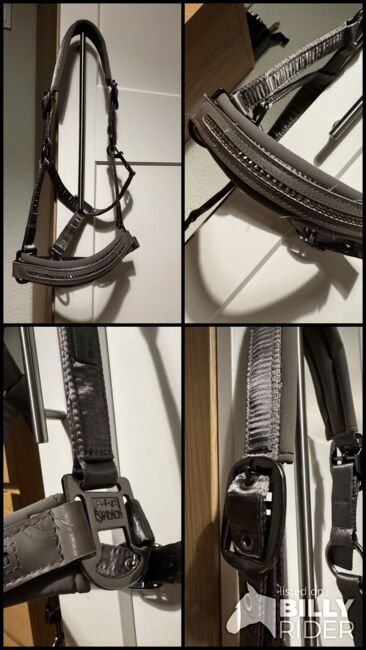 Eskadron Halfter Warmblut | Heritage earl grey, Eskadron, Tara, Halters, Berlin, Image 6
