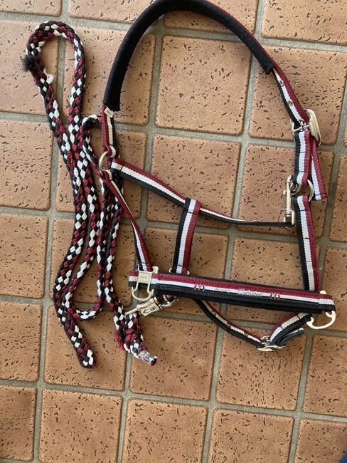 Eskadron Halfter, WB, Darkred, Eskadron Halfter Pinbuckle, WB, Darkred-White-Black, Classic Sports H/W15, A-K S., Halters, Ruppertsweiler