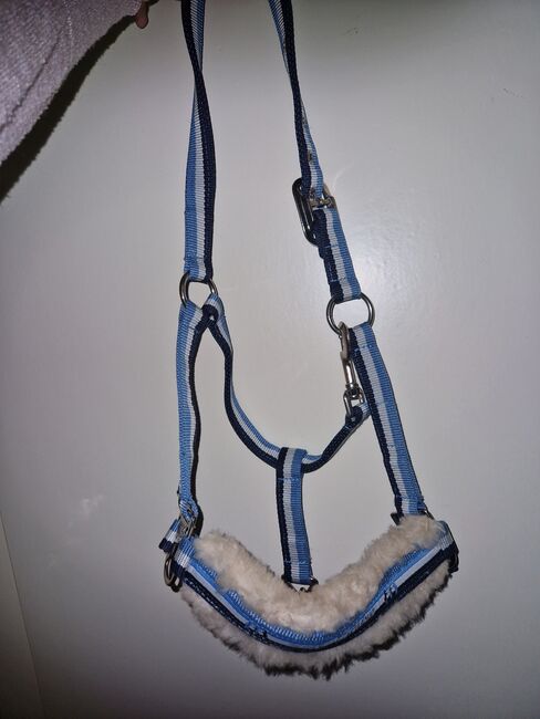 Eskadron Halfter WB, Eskadron , Julia , Halters, Ennepetal 