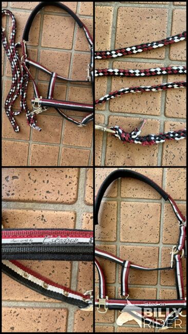 Eskadron Halfter, WB, Darkred, Eskadron Halfter Pinbuckle, WB, Darkred-White-Black, Classic Sports H/W15, A-K S., Halters, Ruppertsweiler, Image 7