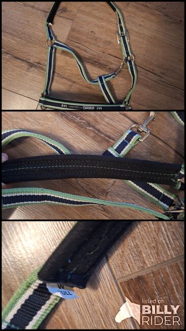 Eskadron Halfter WB Navy Green, Eskadron , ADN, Halters, Duisburg, Image 4