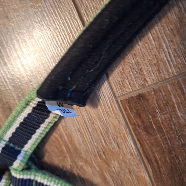Eskadron Halfter WB Navy Green, Eskadron , ADN, Halters, Duisburg, Image 3