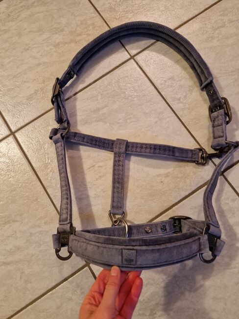 Eskadron Halfter WE, Kim Prawalsky, Halters, Wurzen