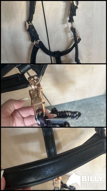 Eskadron Heritage Lederhalfter Wb, Eskadron , Jenny, Halters, Eschweiler , Image 4