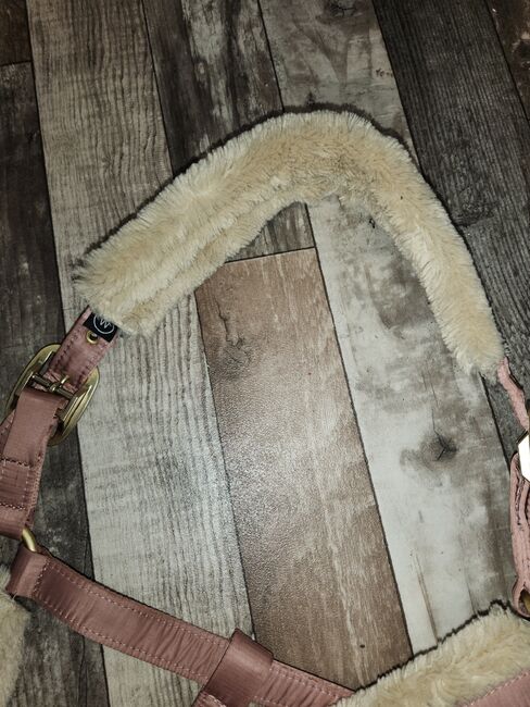 Eskadron Heritage Set, Eskadron , Lilly , Dressage Pads, Friedeburg , Image 3